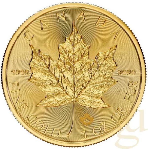 Monedă de aur Maple Leaf de 1 oz 2025